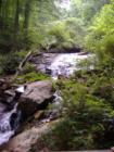 Beautiful trickling water in Ellijay, Ga.