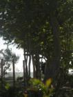 View towards the Gulf of Mexico, Fort Myers Beach, FL
