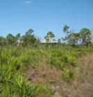 Bokeelia, Pine Island, Lee County, FL