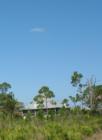 Bokeelia, the beauty of Old Florida, Pine Island, FL