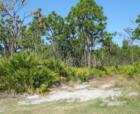 Bokeelia, FL