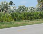 Bokeelia, Lee County, FL