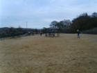Off-Leash Dog Run at Memorial Park