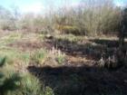 Fanno Creek Park