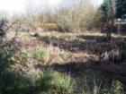 Fanno Creek Park