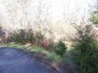 Fanno Creek Park