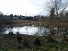 Fanno Creek Park