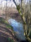 Fanno Creek Park