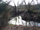 Fanno Creek Park