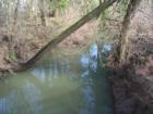 Fanno Creek Park