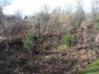 Fanno Creek Park