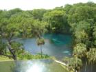 Aerial view of Silver Springs