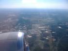Buffalo from up high!!