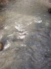 Fanno Creek, running under the bridge in Woodard Park in Tigard