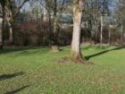Even in winter Woodard Park is amazingly green.