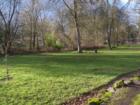 Want a nice walk, then try Woodard Park in Tigard.