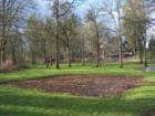 Woodard Park 