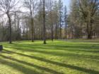 Rather large open area in Woodard Park that could be great for playing catch with your kids.