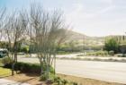 Southern Highlands