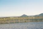 View of Lone Mountain from Centennial Hills