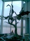 inside of Daytona Beach Airport