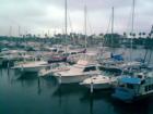 Daytona Beach Marina