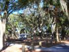 John Sanders Park or commonly known as the tree park