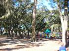 John Sanders Park or commonly known as the tree park