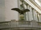 This stone American eagle sits on the railing of the Pershing Square roadway around the terminal.  He looks like he could take off if he wanted to!