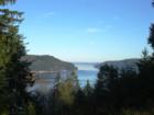 Just above Alderbrook Resort 