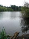 Island Lake