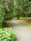 Island Lake Walking Paths