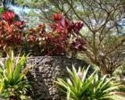 Haiku estates, country homes and acreages for sale - eastmaui.com for more info