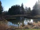 Summer Lake Park