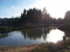 Summer Lake Park