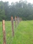 Delaware County field