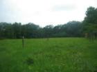 Delaware County