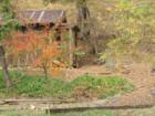Beautiful shot along the river - Jamestown