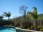 Backyard views. This is why we live in Contra Costa County
