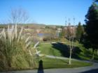 Shot of Canyon Lakes Golf Course