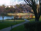 Scenery from Walking Path at The Lake at Canyon Lakes