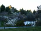 Pathway View from The Lake at Canyon Lakes