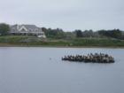 Birds cover a very tiny island