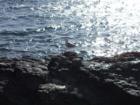 Snapshot from the Cliff Walk
