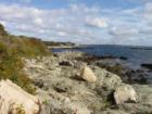Snapshot from the Cliff Walk