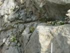 Snapshot from the Cliff Walk