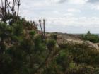 Snapshot from the Cliff Walk