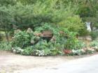The grounds at the New York Yacht Club