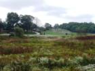 Meadow on way to Fort Adams