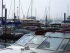 Boats in the Harbor